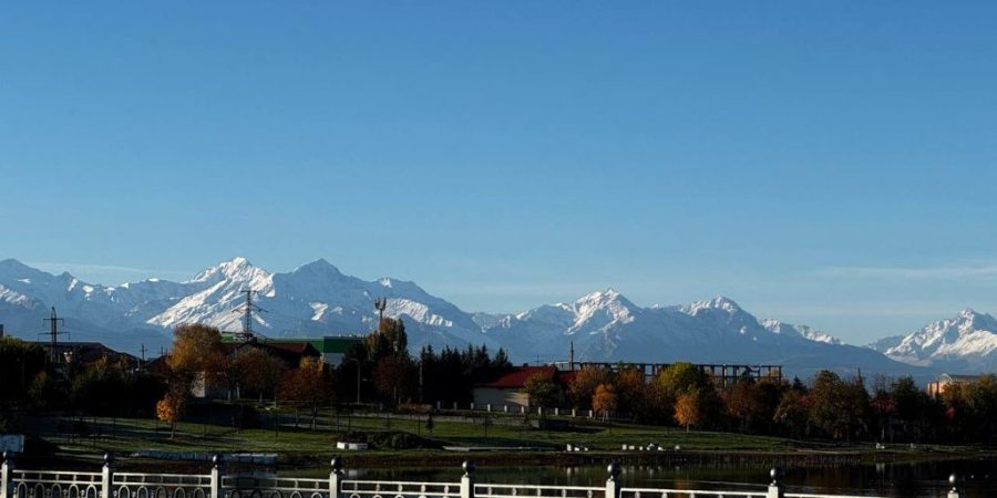 image-05-02-26-04-46-4 image-05-02-26-04-46-4