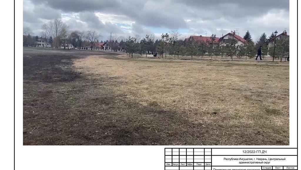 Дизайн-проект Прилегающая территория городского пруда 2022-изображения-7