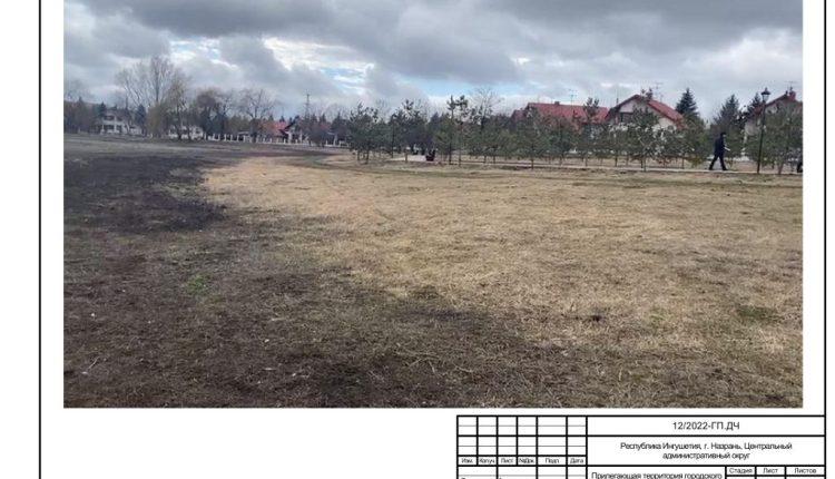 Дизайн-проект Прилегающая территория городского пруда 2022-изображения-7